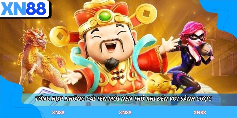 Tổng hợp những cái tên mới nên thử khi đến với sảnh cược